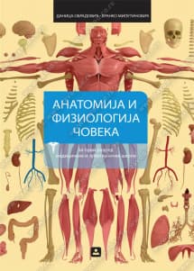 Anatomija i fiziologija čoveka 1 za prvi razred